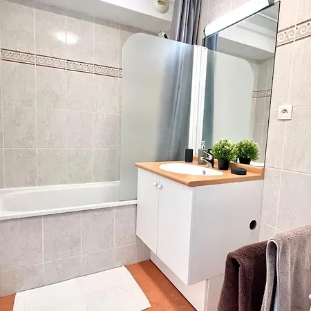 Le Nirvana ~ Jolie T2 Avec Balcon / 2 Min Du Parc Apartament Jaunay-Clan